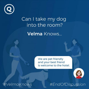  Pet policy delivered by chatbot for hotels